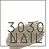 3030nail